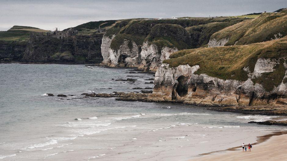 Bronze Age whale fossil discovered by 10-year-old boy