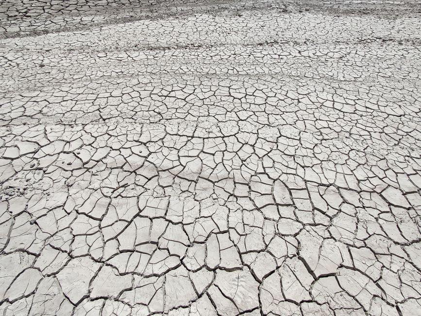 Hosepipe bans in force as drought declared across England and Wales