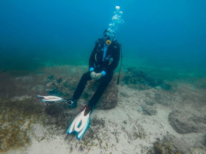 Free diver, 21, wants to 'give back' to the ocean that has helped him