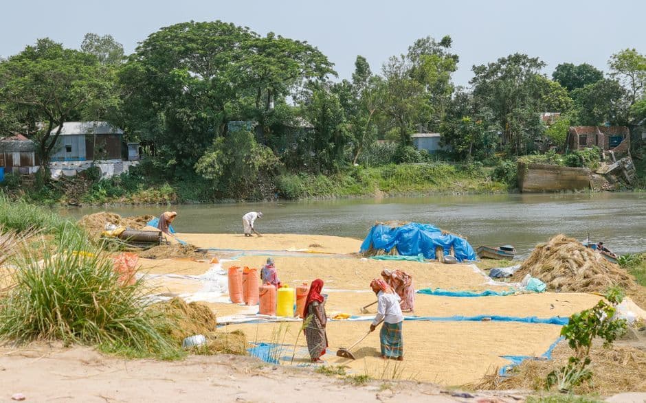 Bangladesh Cyclone Model: Casualties Drop from 500k to 30