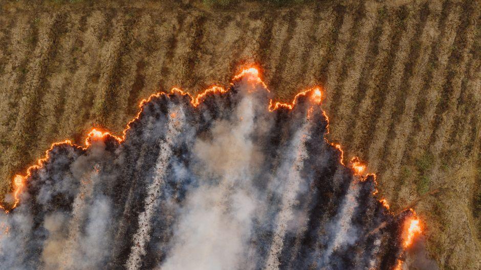 Devastating European Wildfires Force Mass Evacuations in France and Spain