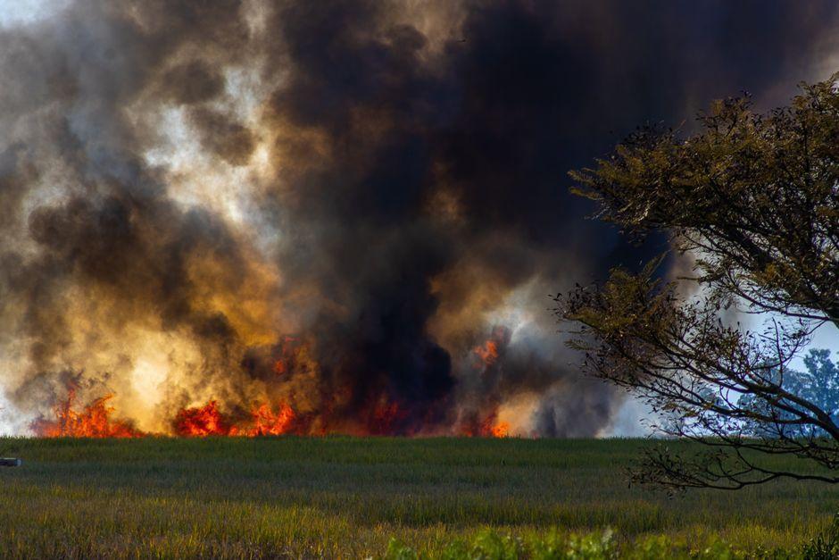 Wildfires in south-west France flare up as region braces for new 40C heatwave