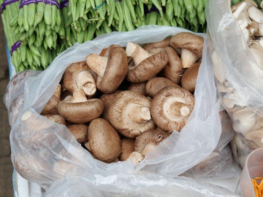 5 Easy Fresh Shiitake Mushroom Recipes for Busy Days