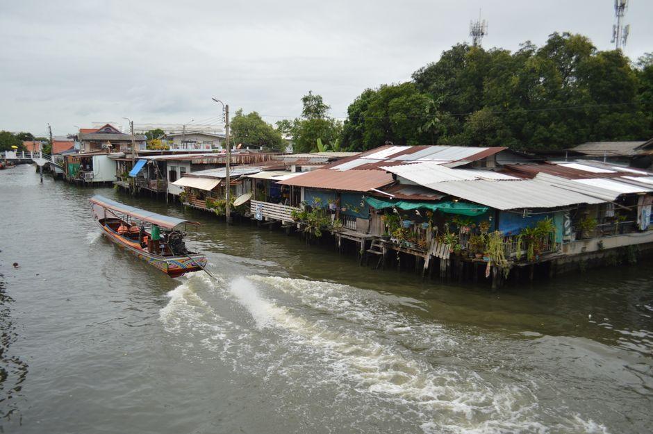 สำรวจ 5 จุดเสี่ยง สัตว์เลื้อยคลานหนีน้ำท่วมซุกซ่อนในบ้าน