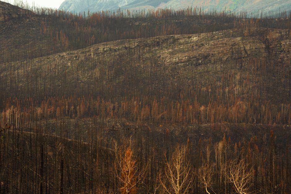 Wildfire-hit residents remove Greenpeace mural