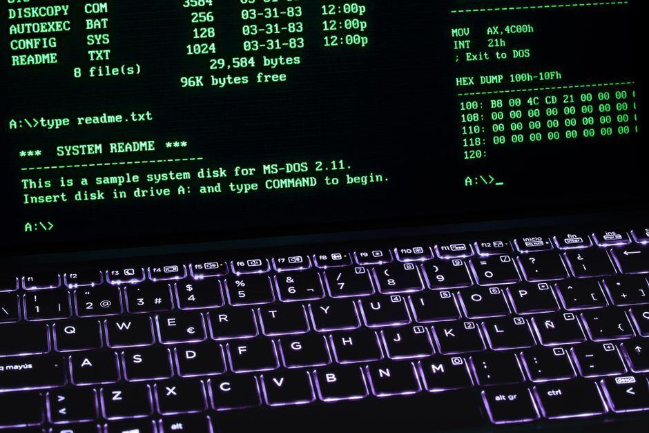 Perplexity Releases pplx, a Single-Binary CLI for Terminal Search