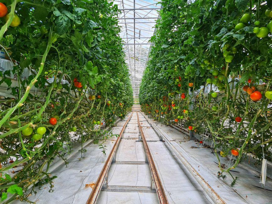 AXONS คว้า 2 รางวัลใหญ่ ตอกย้ำผู้นำด้าน AgriTech ไทย