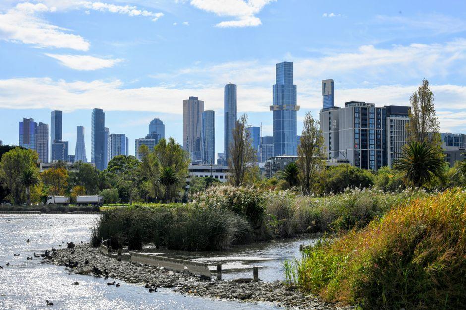 Brisbane 2032: แม่น้ำจระเข้ 500 ตัวผ่านเกณฑ์จัดแข่งเรือโอลิมปิก