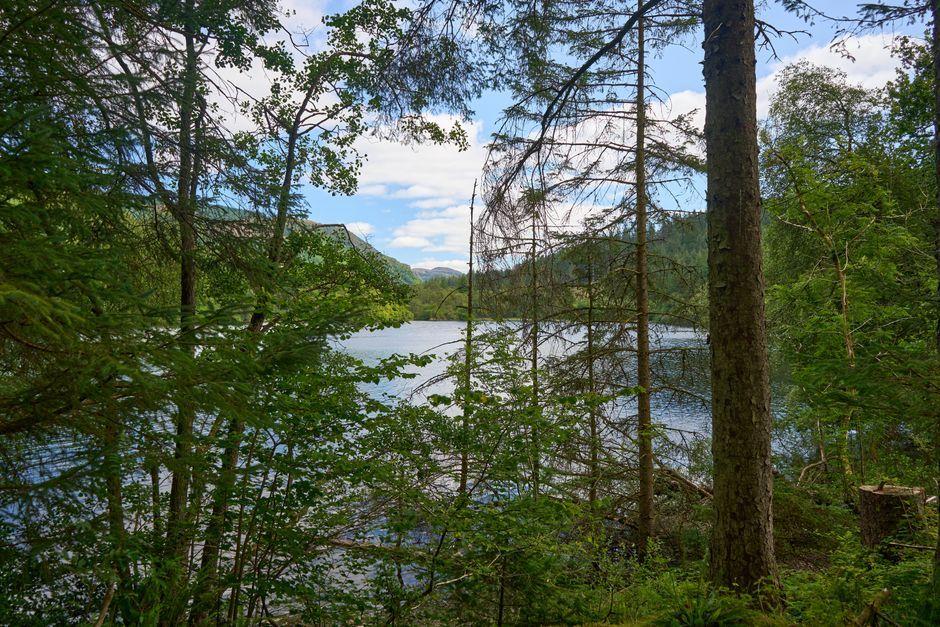 Cairngorms 2026: ปรับแผนป้องกันไฟป่าหลังเพลิงไหม้ผืนป่า
