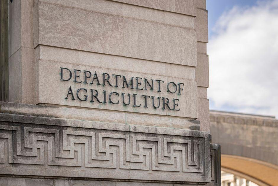 The Pentagon gets custom ChatGPT Mil and Grok versions