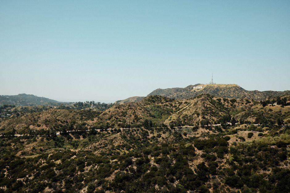 Google courts Hollywood studios to train AI with massive payouts