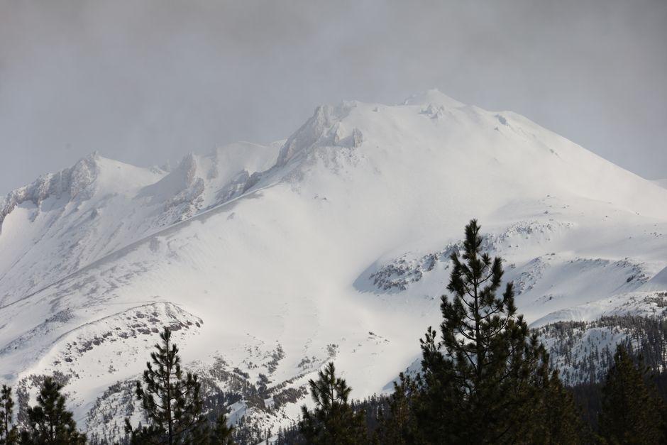 Hikers Rescued After Using Google Gemini for Planning