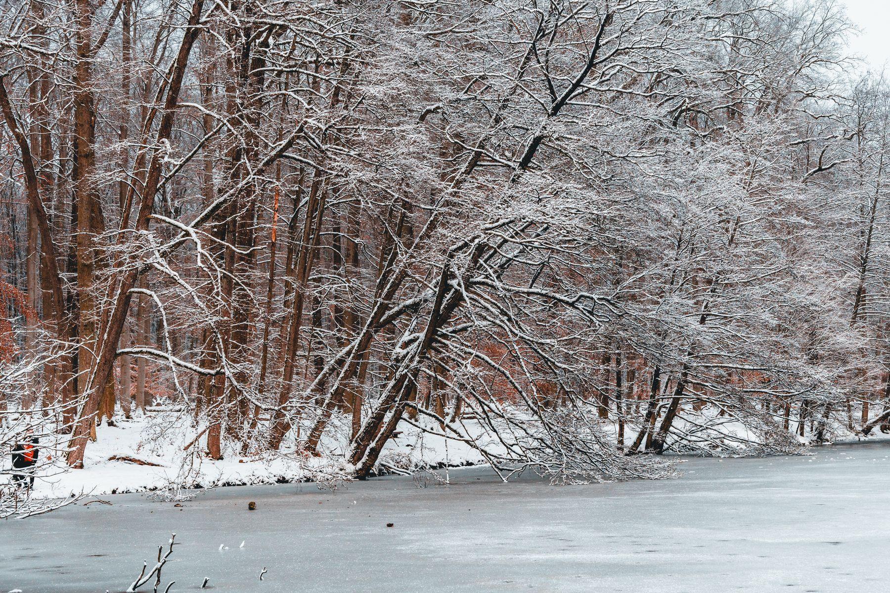 Frozen 3 Footage Teases New Villain and Olaf Love