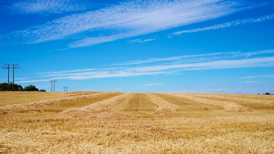 Summer 2026 expected to be declared UK's hottest on record