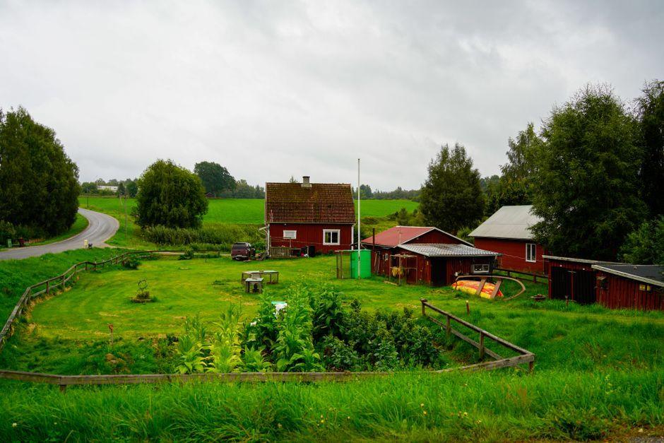 A Glimpse into Poo Praya's Simple Life on an American Farm, Collecting Fresh Eggs Herself