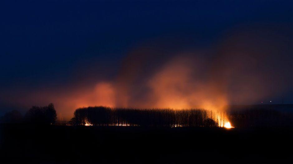 Firefighters battle wildfire as tens of thousands evacuated near Bordeaux