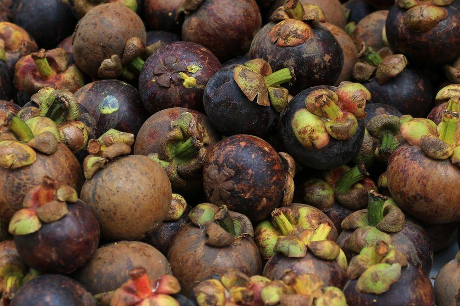Nakhon Si Thammarat Mangosteen: Rare Local Delicacy