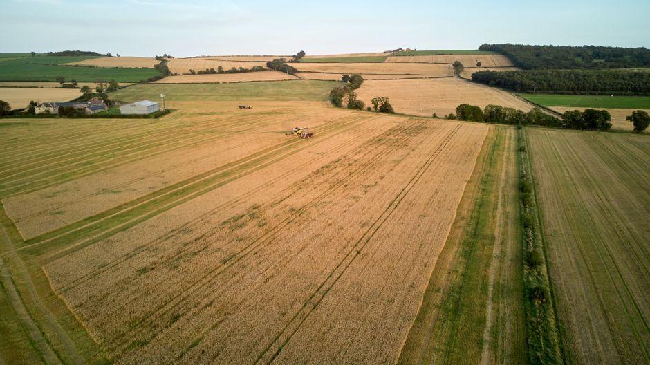 Widow of Welsh farmer warns of mounting pressures in agriculture