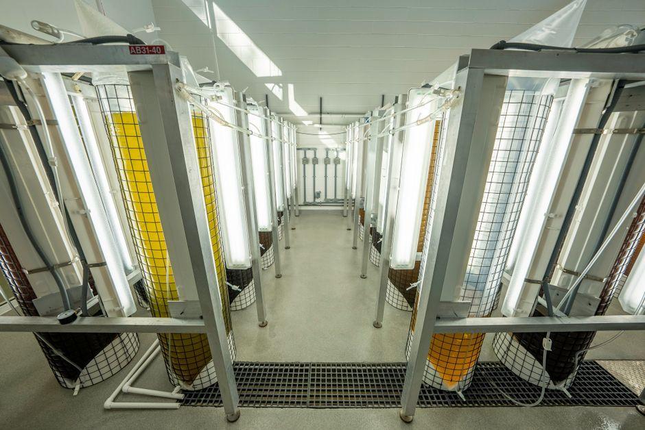 Pacific Fusion Breaks Ground on New Facility in New Mexico
