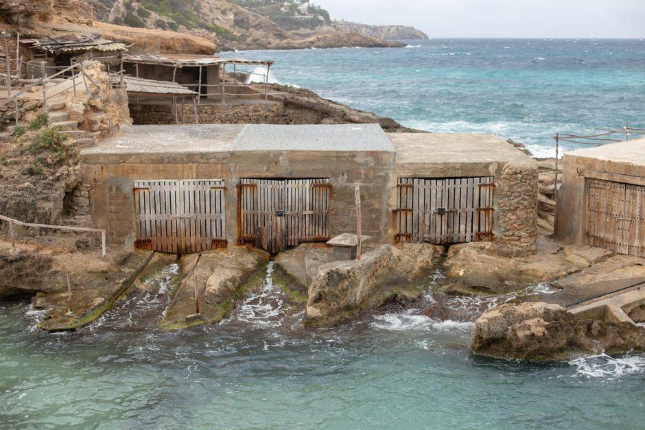 Palladium Launches Seagrass Conservation Lab in Ibiza