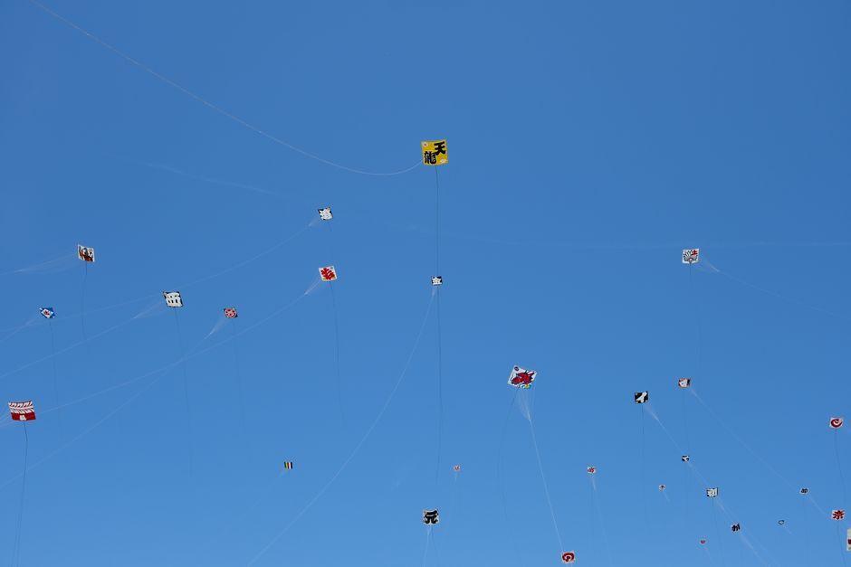 Through a Photographer's Lens: Capturing the Weifang International Kite Festival, Where Sea Creatures Float Alongside Noodle Packets in China's Skies