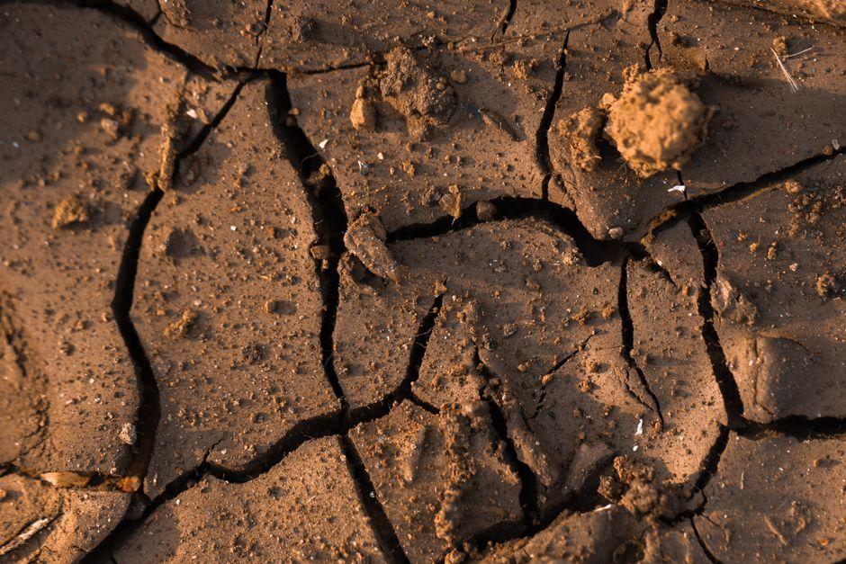 UK Drought 2026: How soon will dry weather end with rain