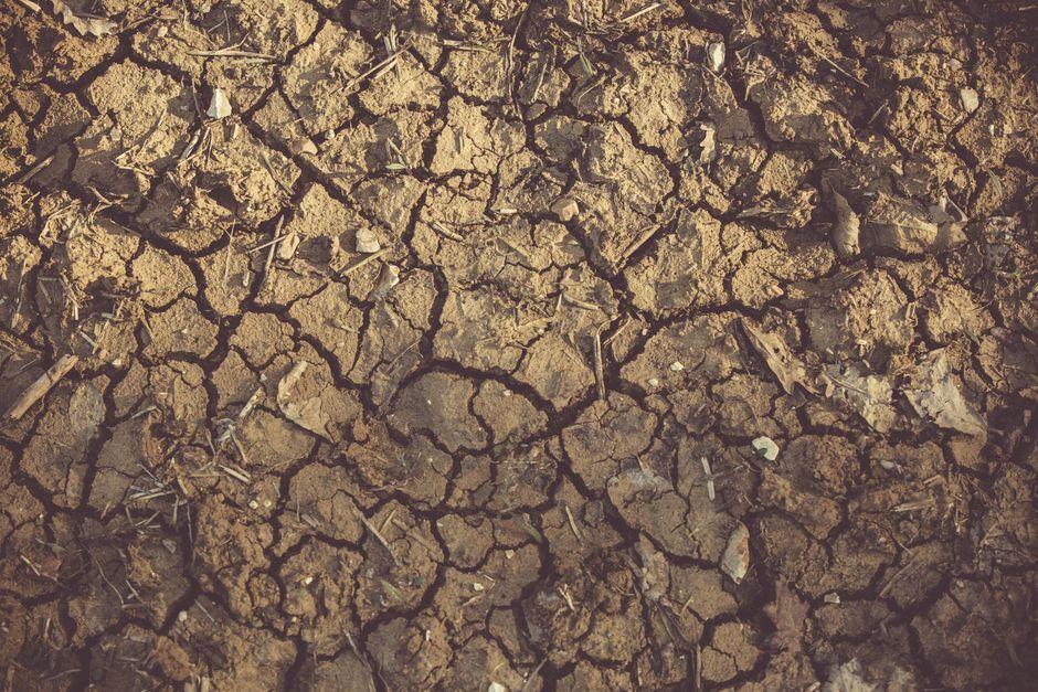 England and Wales on course for driest July on record