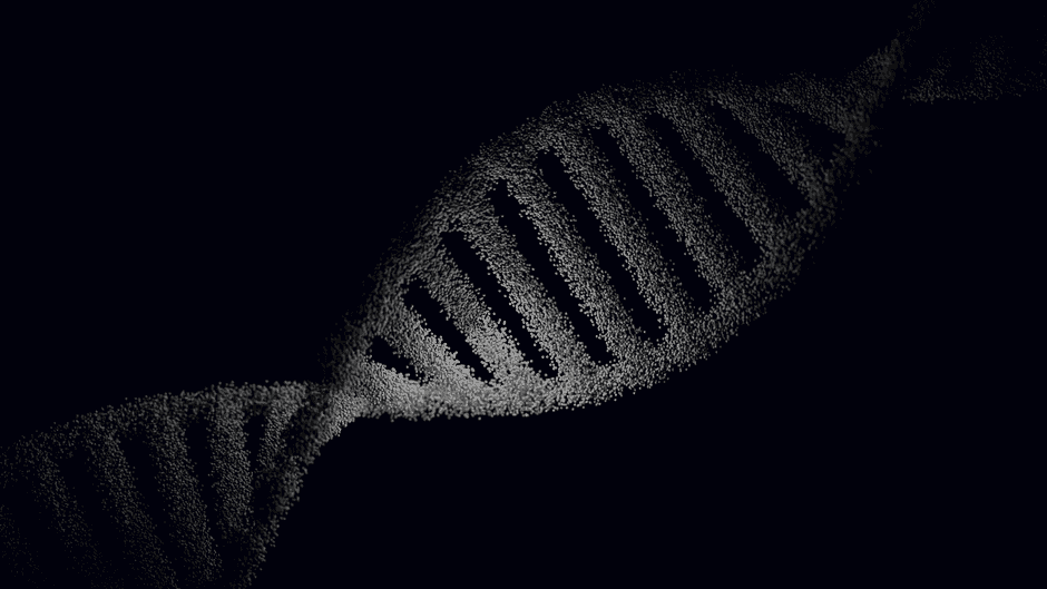 Stanford's Evo 2 AI Model Generates Phages to Combat Drug-Resistant E. coli