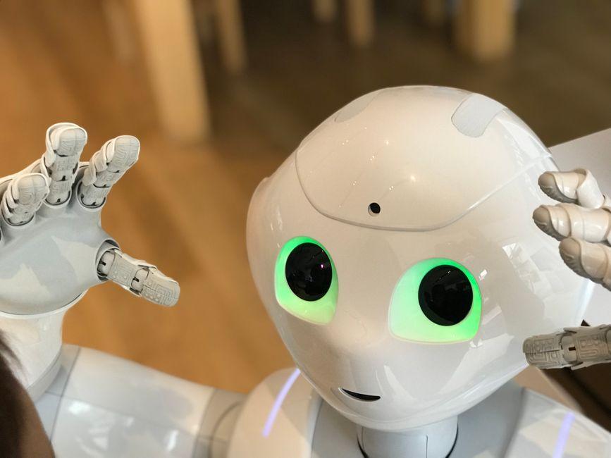 Satya Nadella says companies that trust one AI for everything may not survive