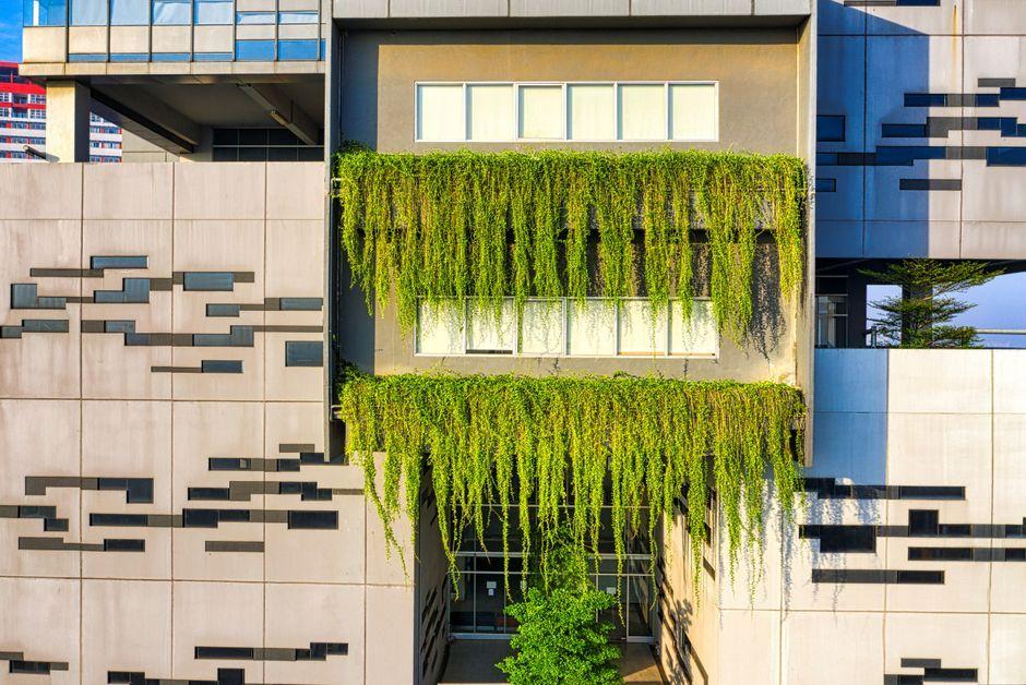 Common Days: Three-Story Gathering Space in Indonesia