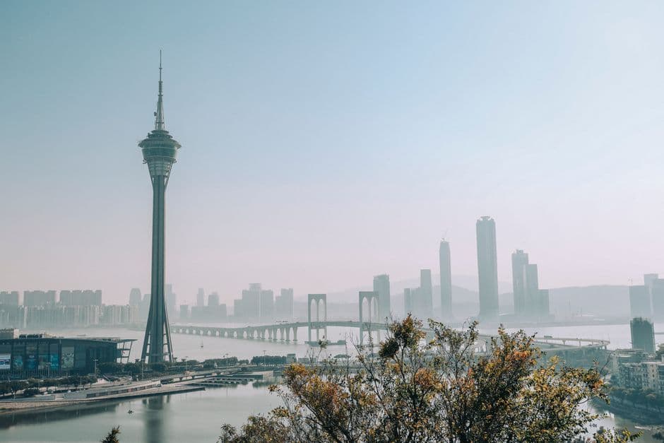 Global Legal and Sustainable Timber Forum 2026: Thailand Pushes Sustainable Timber