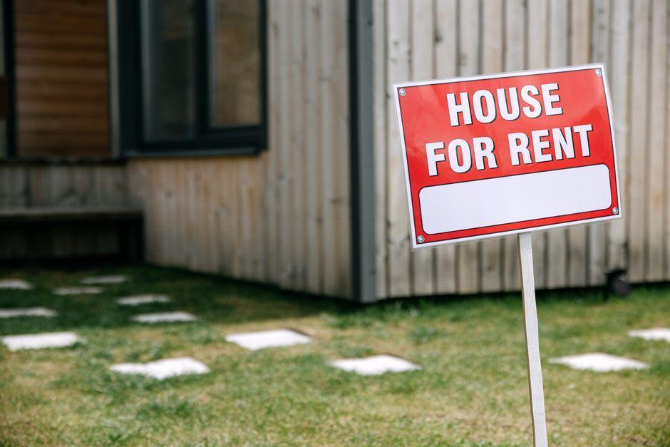 Rental searches for pet friendly properties drop after law change