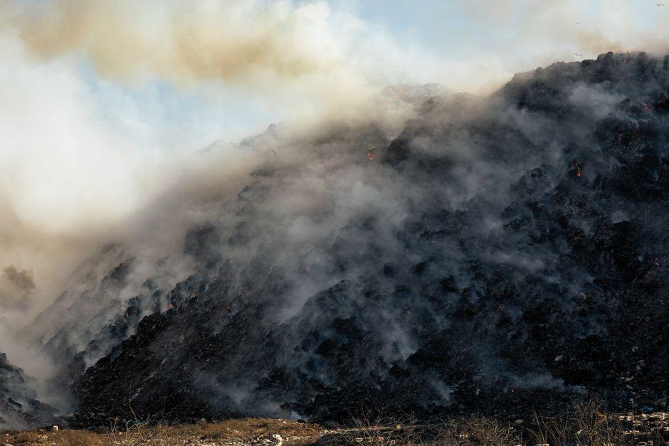 Wildfire-ravaged habitats in Wales could take centuries to recover, environmentalists warn