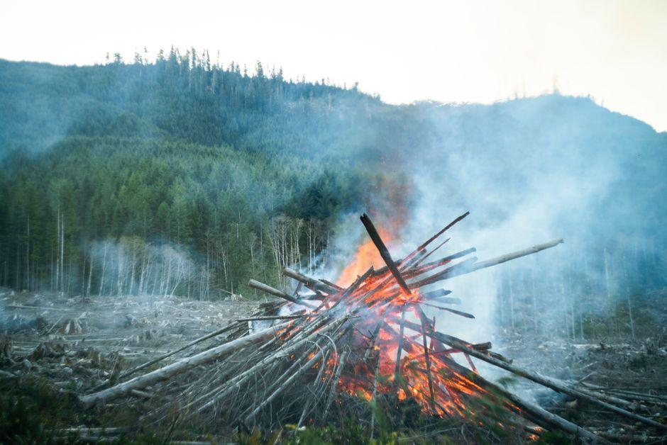 Fast-moving wildfire in British Columbia forces emergency declarations