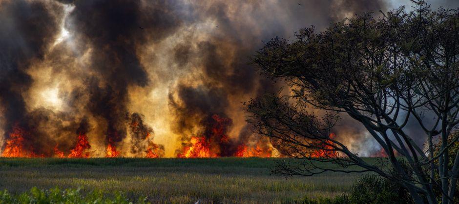 Burnham says disposable BBQ ban under consideration amid UK wildfire risks