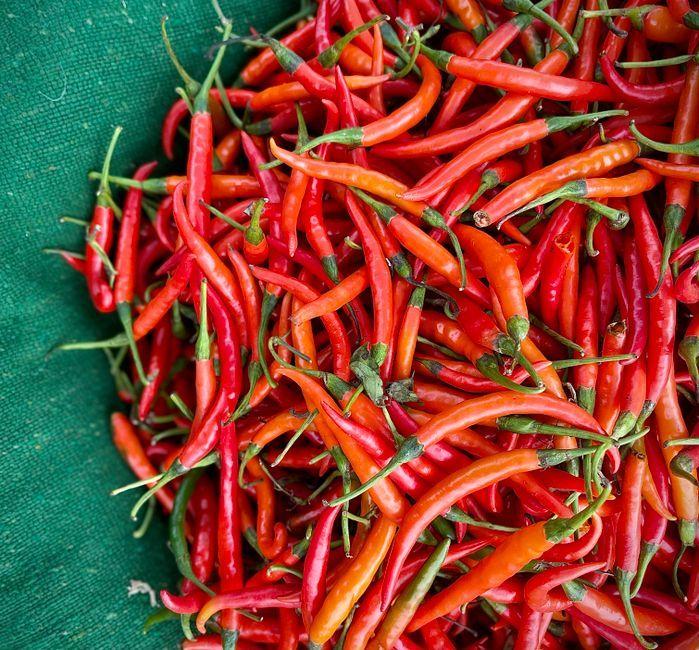 ไขความลับพริก: ส่วนไหนเผ็ดที่สุด ไม่ใช่เมล็ดอย่างที่คิด