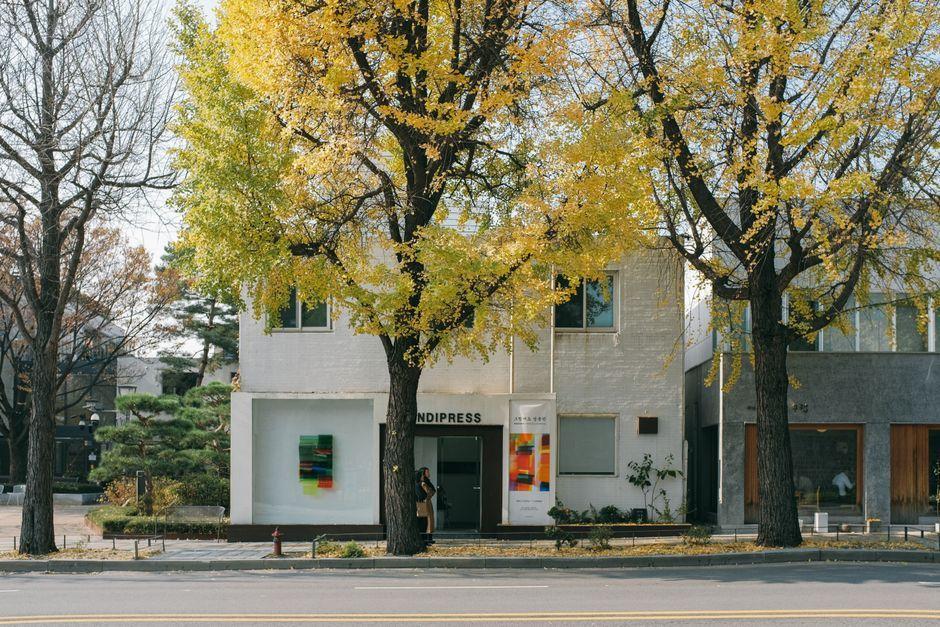 Seoul 2026: Residents Accuse Museum of Poisoning Ginkgo