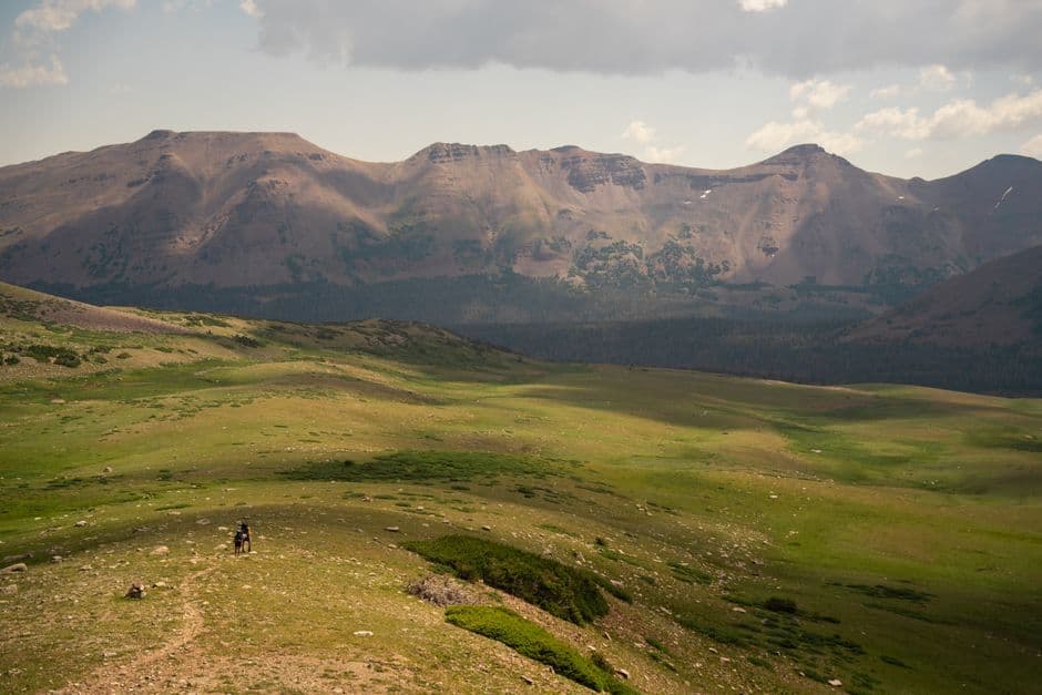 TrailEcho: Screen-Free Wilderness Audio Sentinel