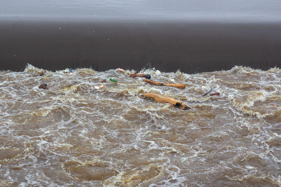 Tywi River Pollution Kills Fish and Threatens 300-Year Tradition